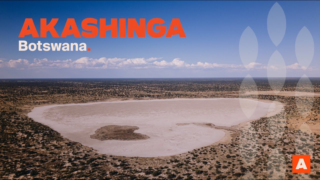 Akashinga in Botswana