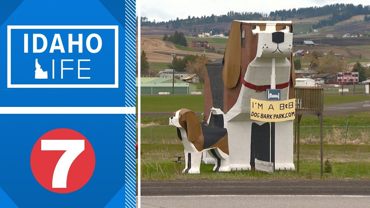 Idaho Life: Sleeping in the dog house... literally at Dog Bark Park