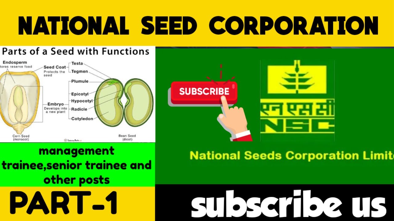 NATIONAL SEED CORPORATION 2020 || SENIOR TRAINEE || MANAGEMENT TRAINEE
