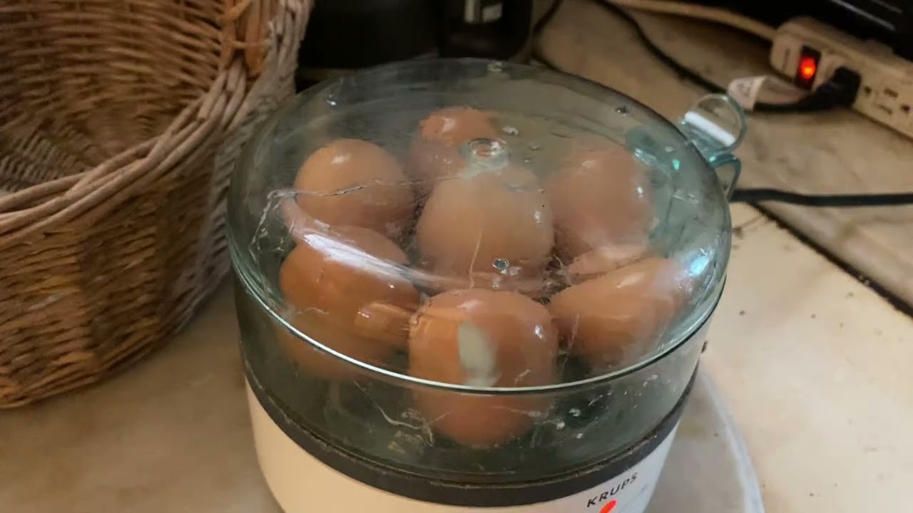 Honest Review Krups Egg Maker Hard Boiled