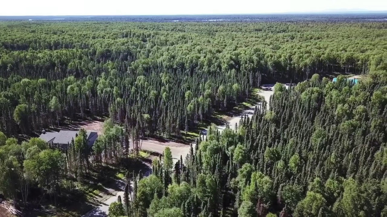 Birch Creek Landing (51AK) Airpark