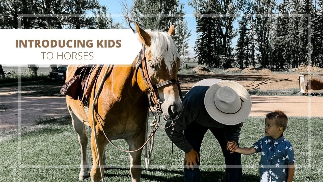 Introducing Kids to Horses