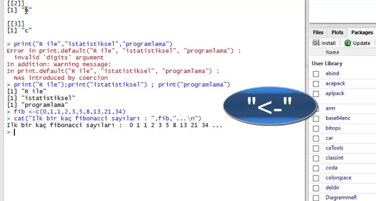 3 - R  Print Fonksiyonu ve Değişkenler - R ile İstatistiksel Programlama -