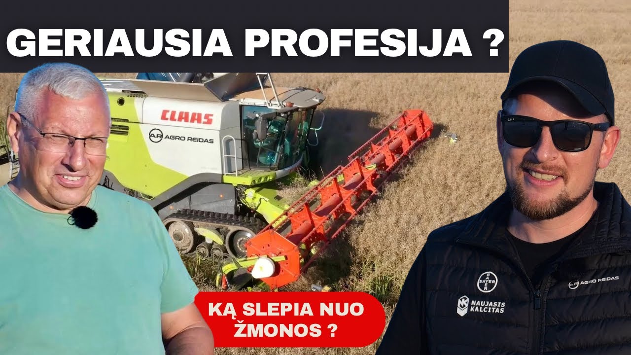 DK rapsas po audros || Kviečių klasė? || AGRO REIDAS