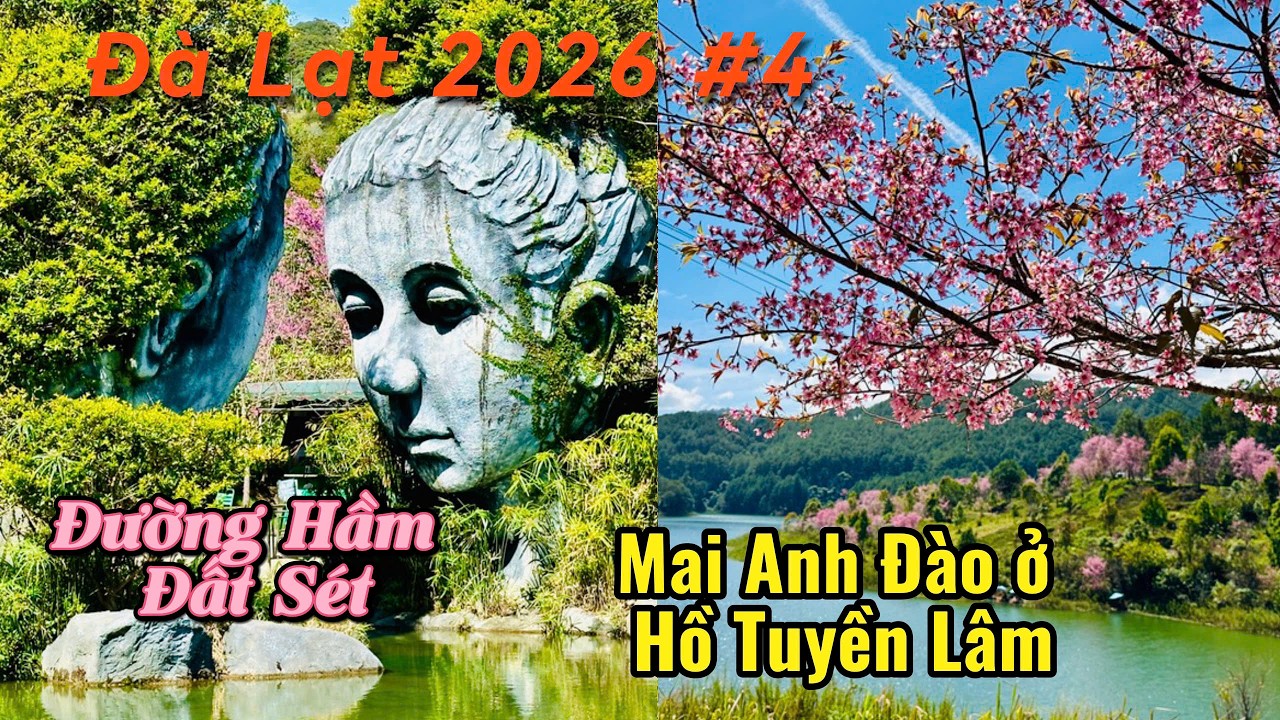 Đường hầm điêu khắc đất sét Đà lạt - hoa mai anh đào ở Hồ Tuyền Lâm - Đà Lạt 2026 P4