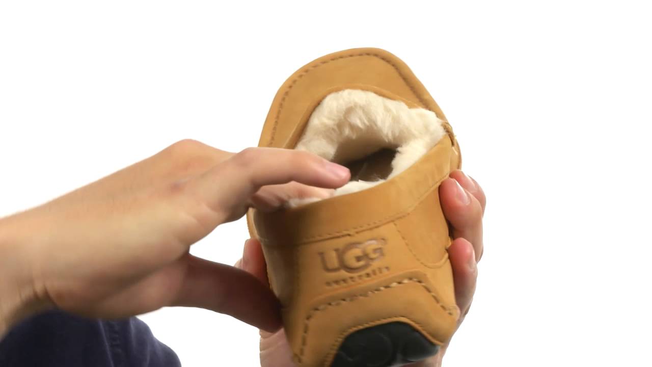 UGG Ascot Wheat SKU:8725745