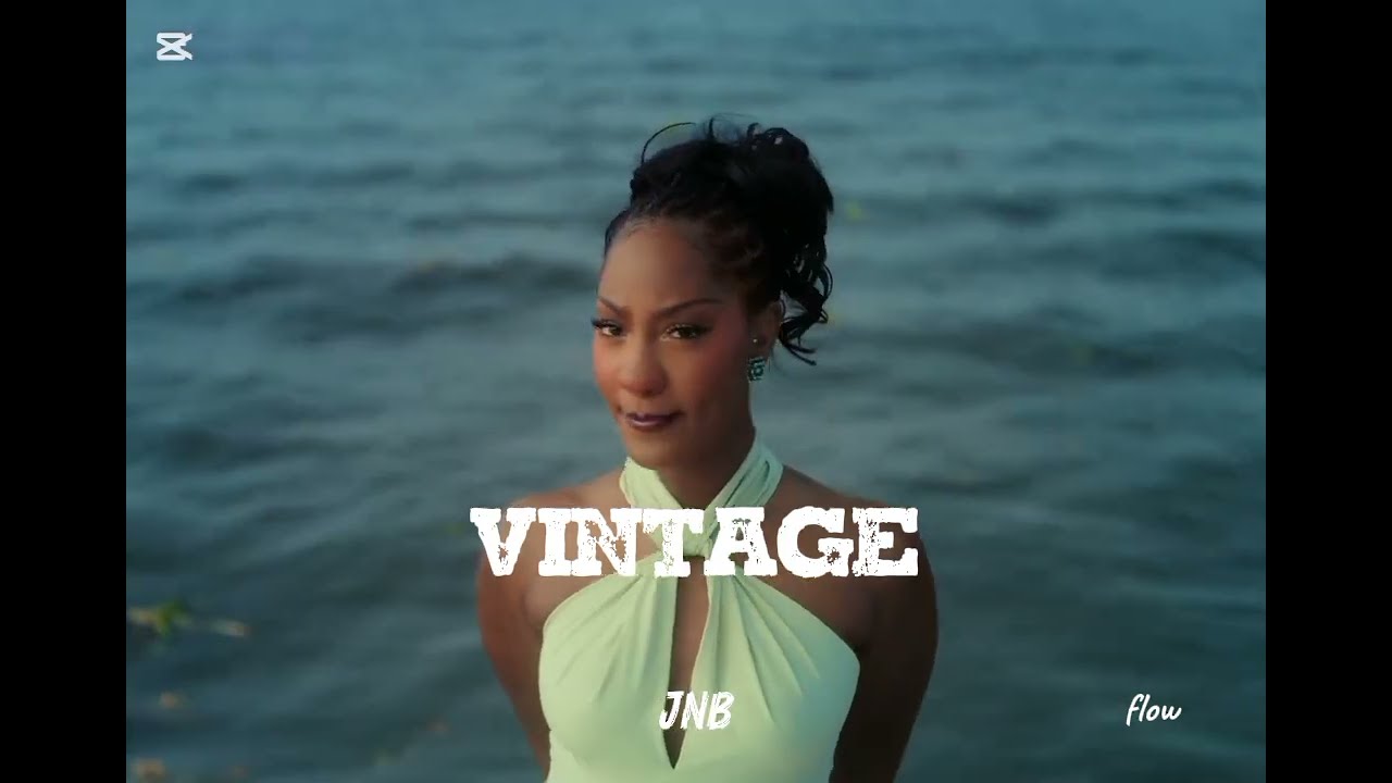 Afrobeat Instrumental 2026 | 'VINTAGE' Tems X Burnaboy X Wizkid Typebeat