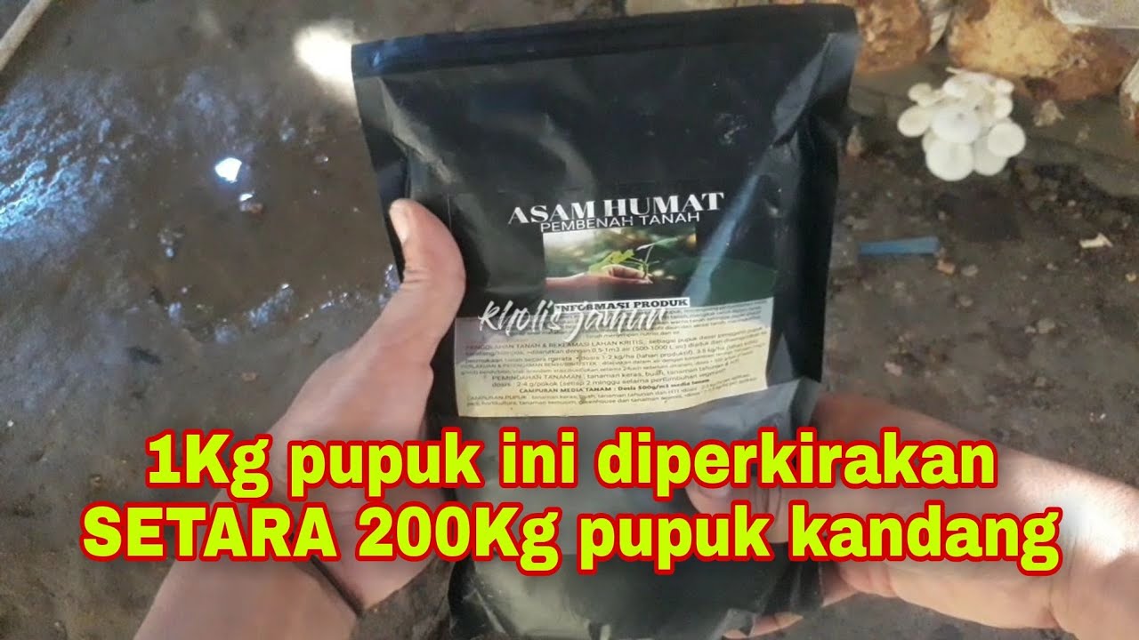 MANFAAT ASAM HUMAT UNTUK PERTANIAN