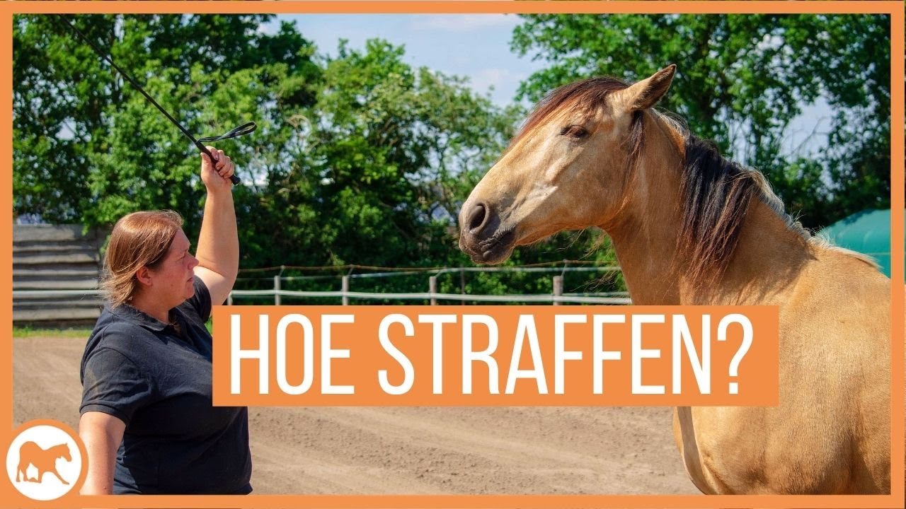 Wanneer en hoe straf je jouw paard?