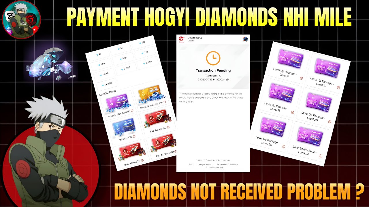 FF Top Up Payment Successfull But diamond not received ] Diamond not received Problem