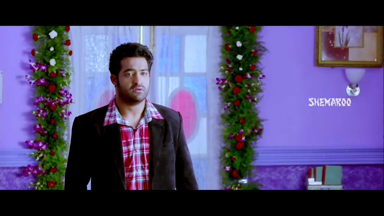 Brindavanam original full video song