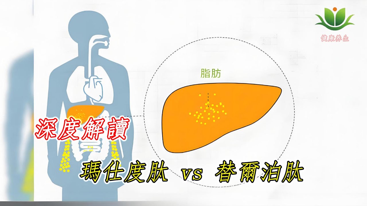 深度解讀瑪仕度肽 vs 替爾泊肽