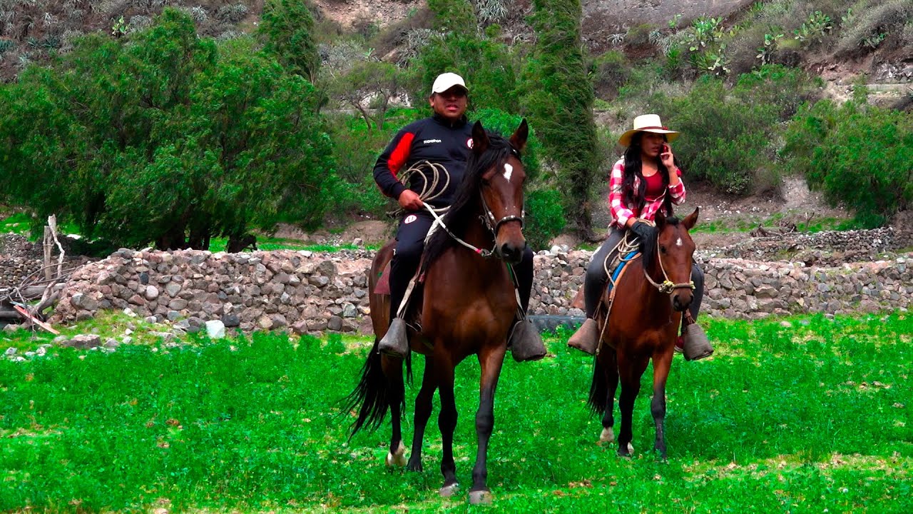 LOS TIOS JUNIOR - LINDA COTAHUASINA - LA UNION COTAHUASI AREQUIPA