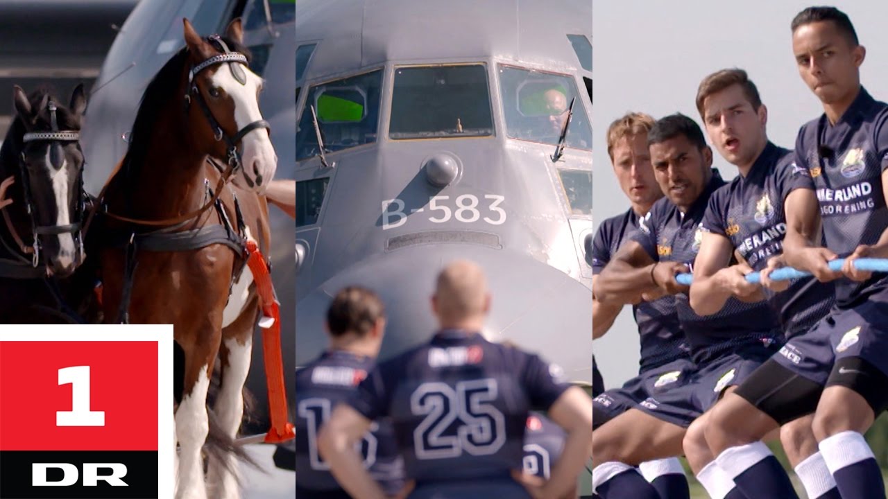 Flytræk: Hest vs. rugbyhold | Versus | DR1