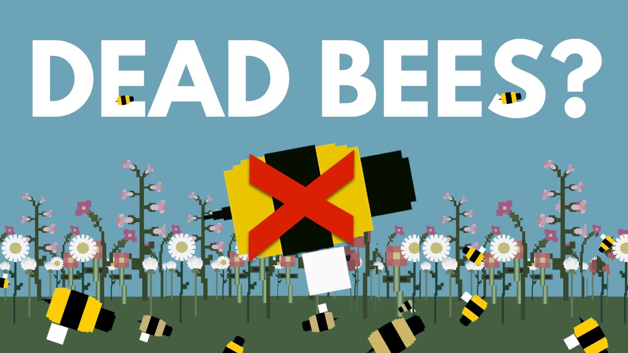 What Would Happen To You If All The Bees Die?