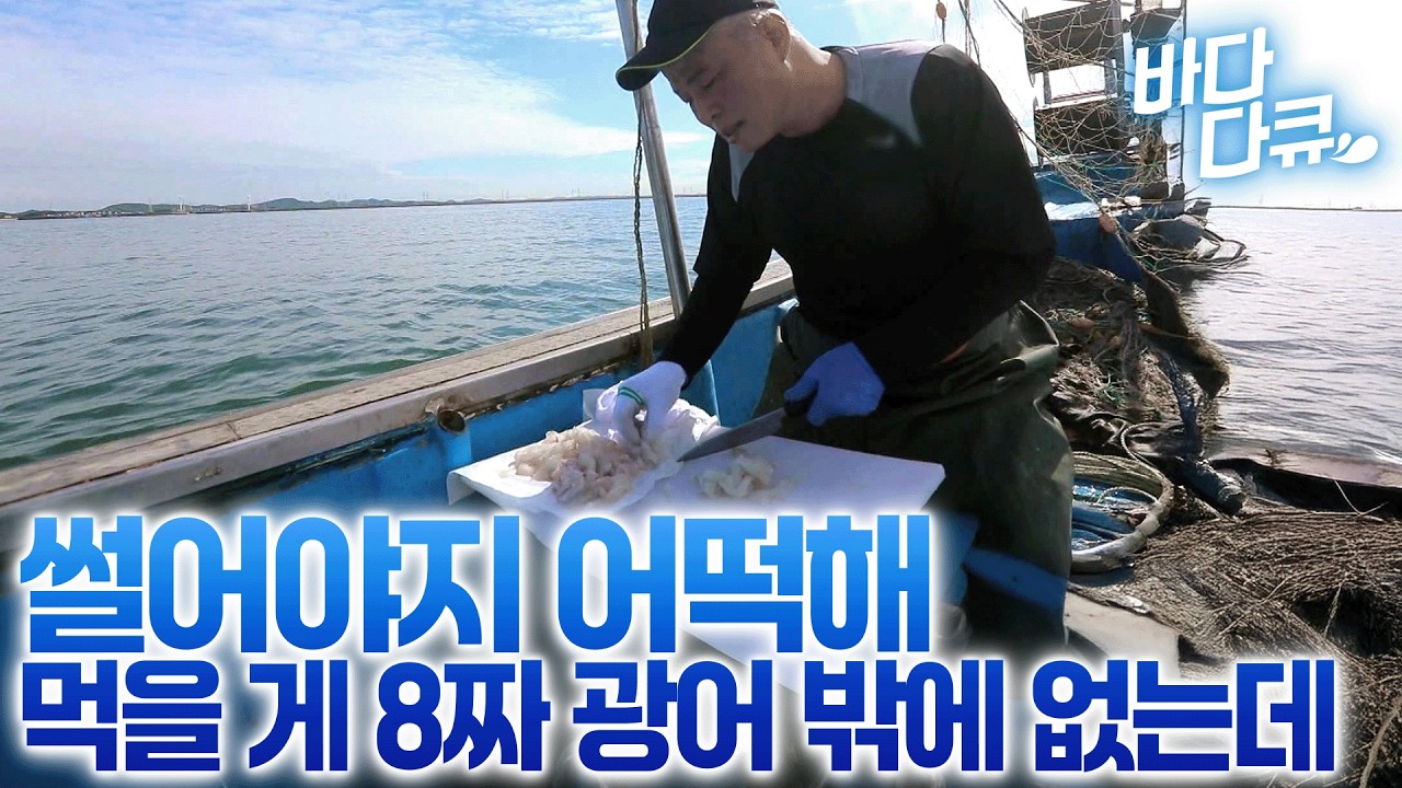 한창 살 통통하게 오른 자연산 광어가 돌아왔다! 단짝 친구와 둘이서 조업하면 좋은 점, 잡은 거 눈치 안 보고 먹을 수 있다 / #바다다큐