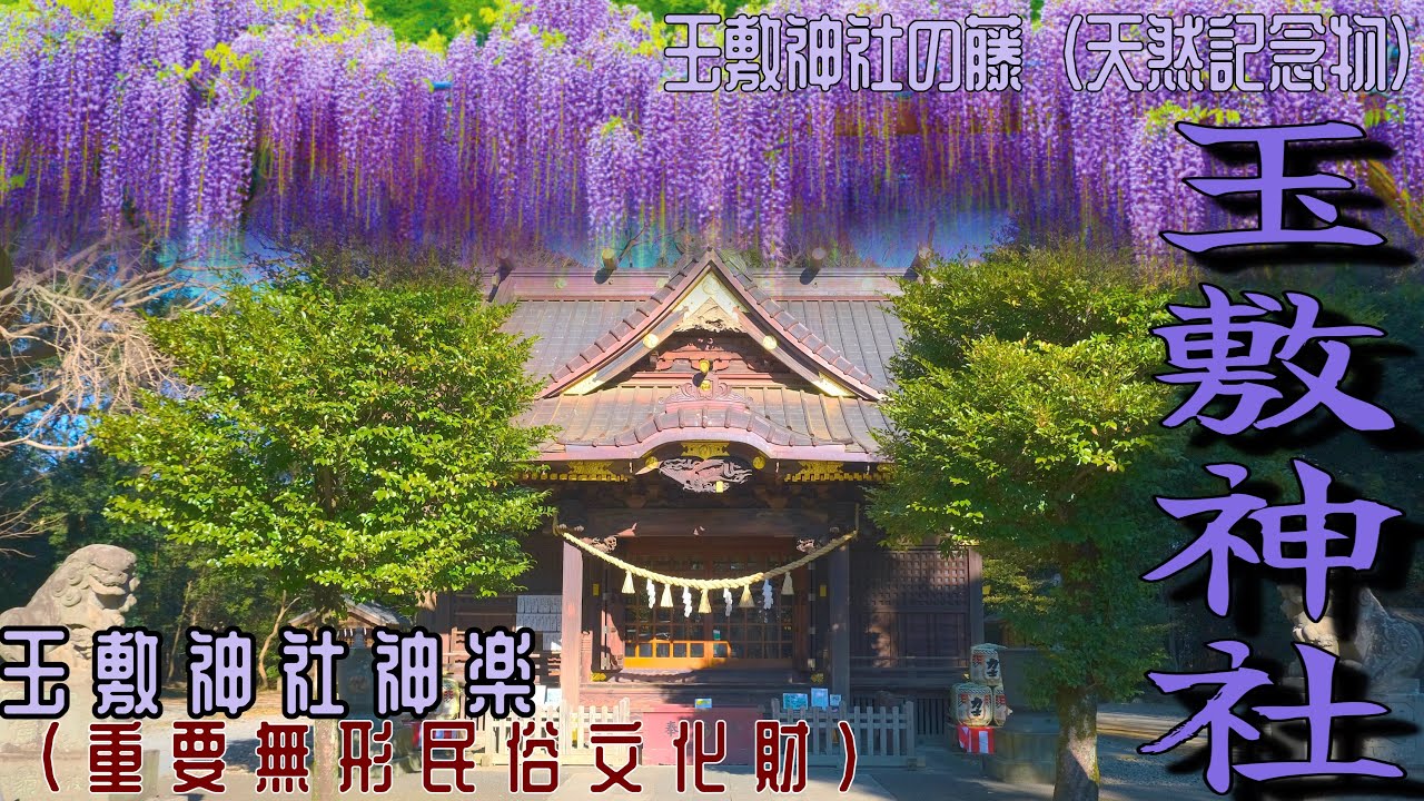 【度々旅遊記】埼玉県加須市　