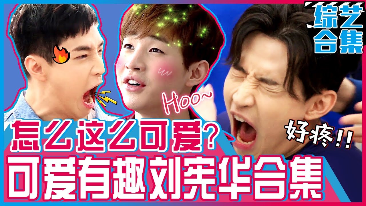 [中文字幕] 连综艺也厉害你让我们怎么办！刘宪华综艺活跃影像