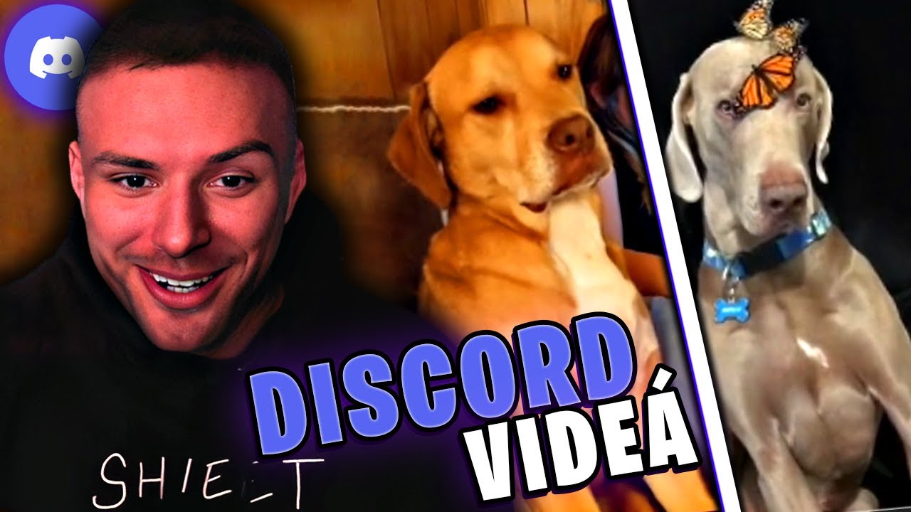 RESTT POZERÁ VIDEÁ OD DIVÁKOV Z DISCORDU #23