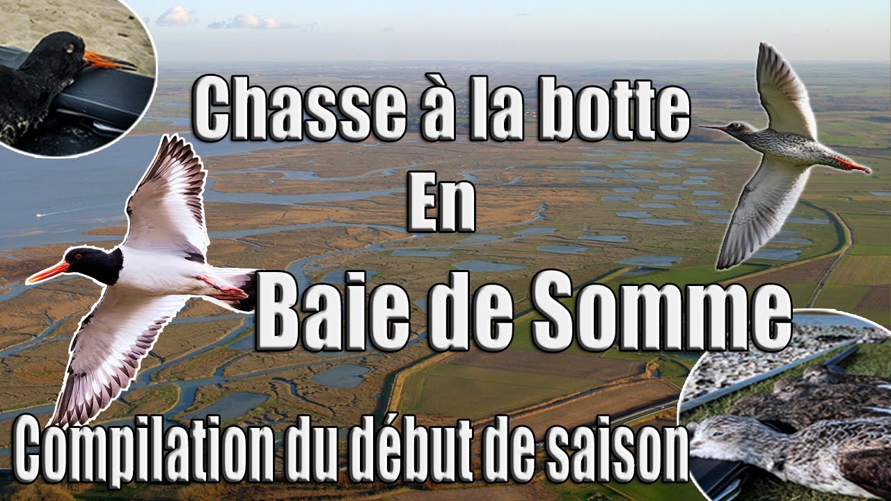 Chasse à la bottes en Baie de Somme - Compilation du début de saison.