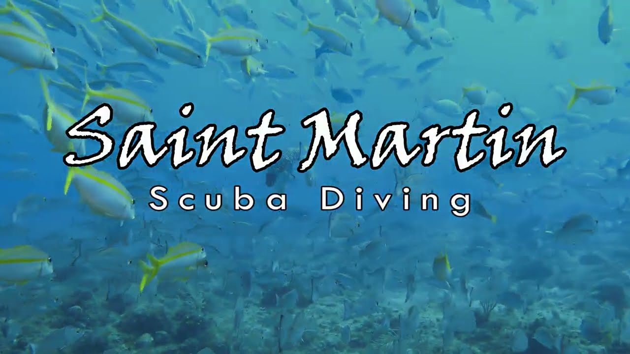 Scuba diving in St Martin | St Maarten | 4K