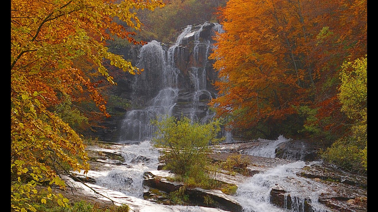 FELLICAROLO,   LA VALLE DELLE FELCI
