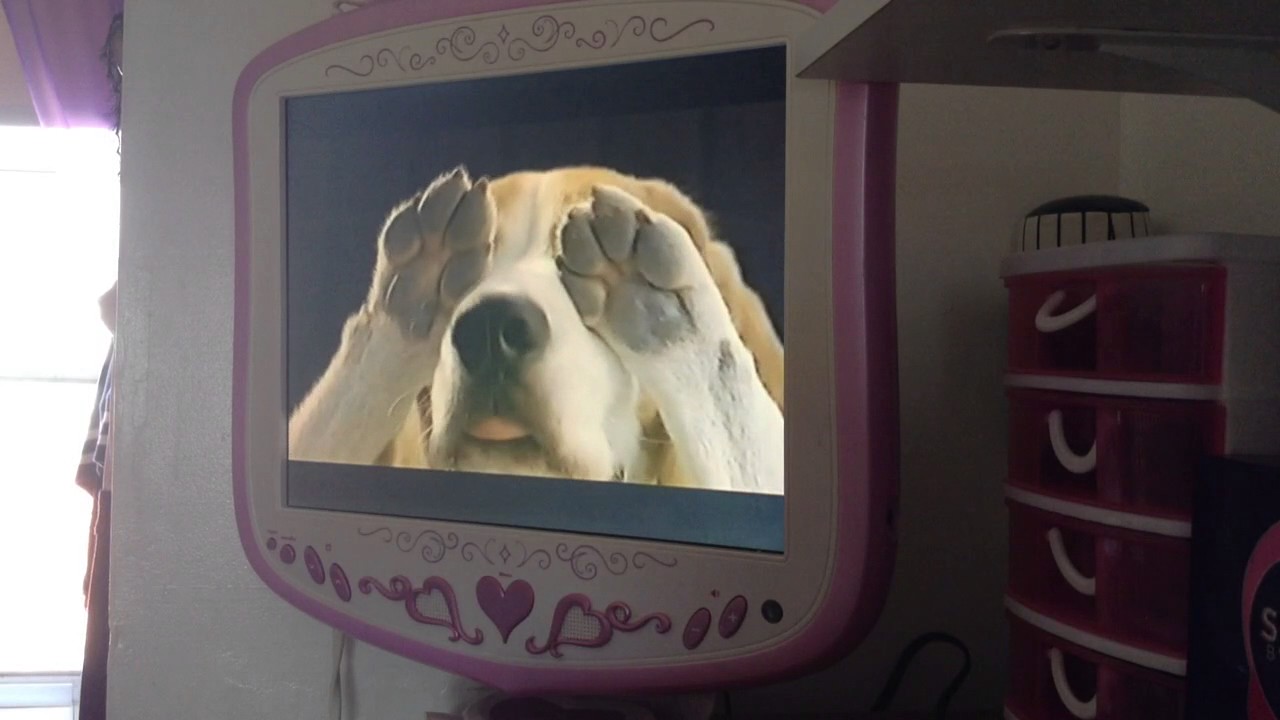 Opening To Daredevil Vs Spider-Man VHS 2003