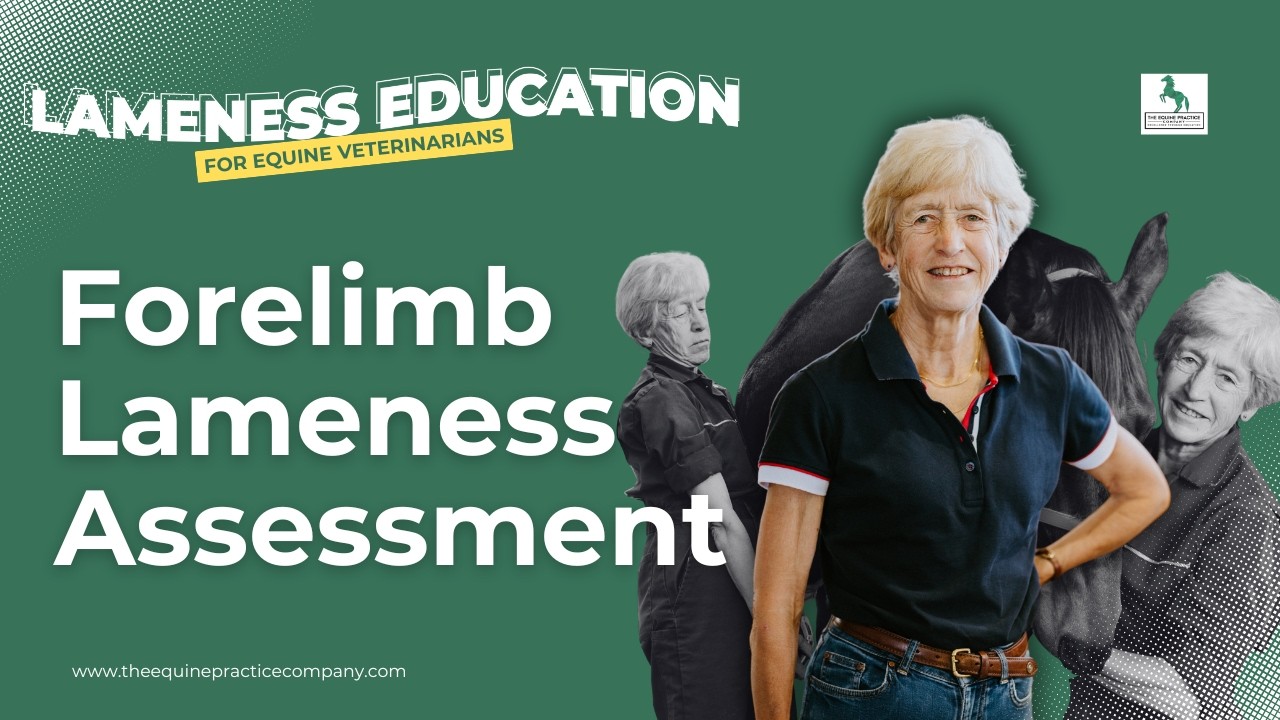 Forelimb Lameness Assessment: How to Grade and Characterize It Properly