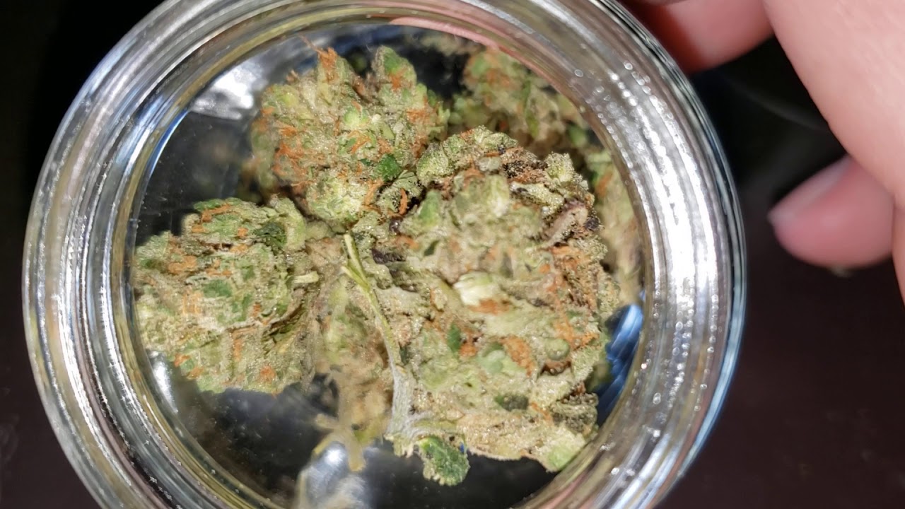 Gelato # 33 Aka Larry Bird OMG best so far