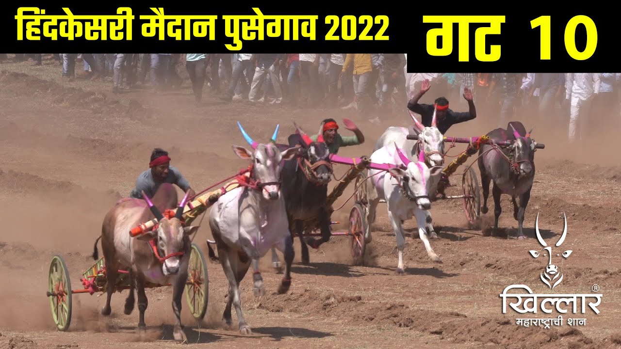 गट 10 । पुसेगाव मैदान | Khillar Maharashtrachi Shaan | 2022