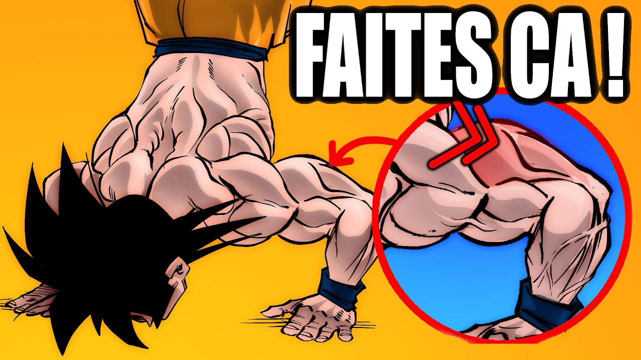 POMPES en ÉQUILIBRE sur les MAINS en 30 jours ! (Tutoriel débutant)