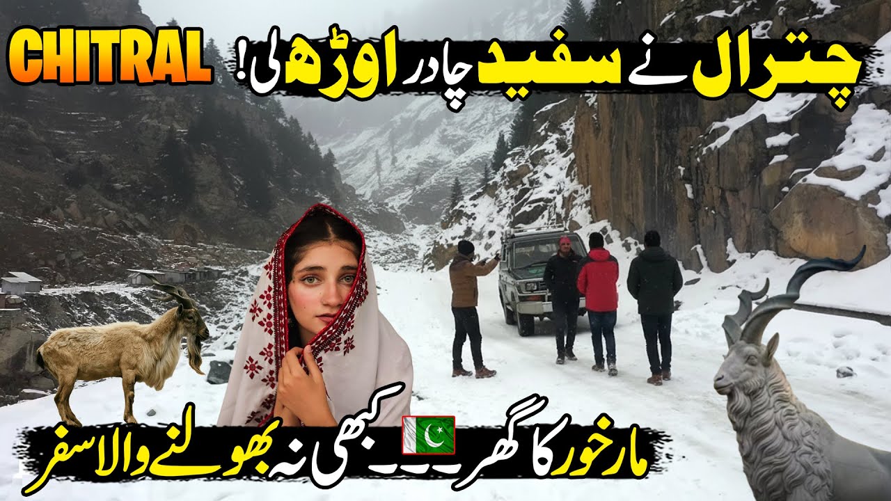 This is Not Murree, This is Chitral 😱| Explore Live Snowfall of Chitral Valley | Discover Pakistan