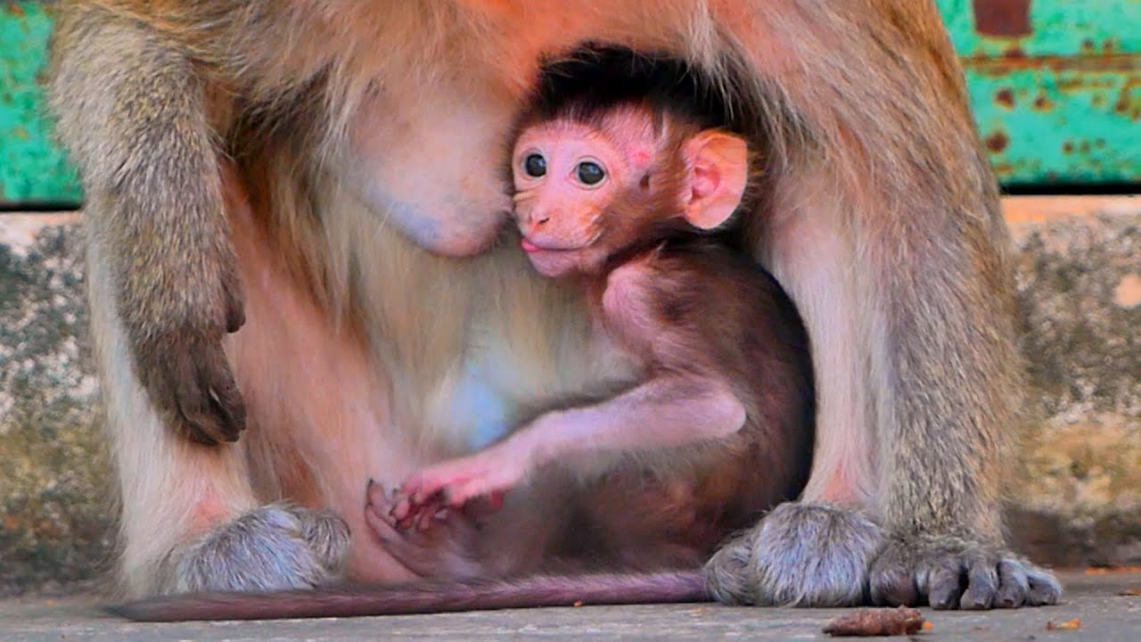 The tiny baby Tena is adorable