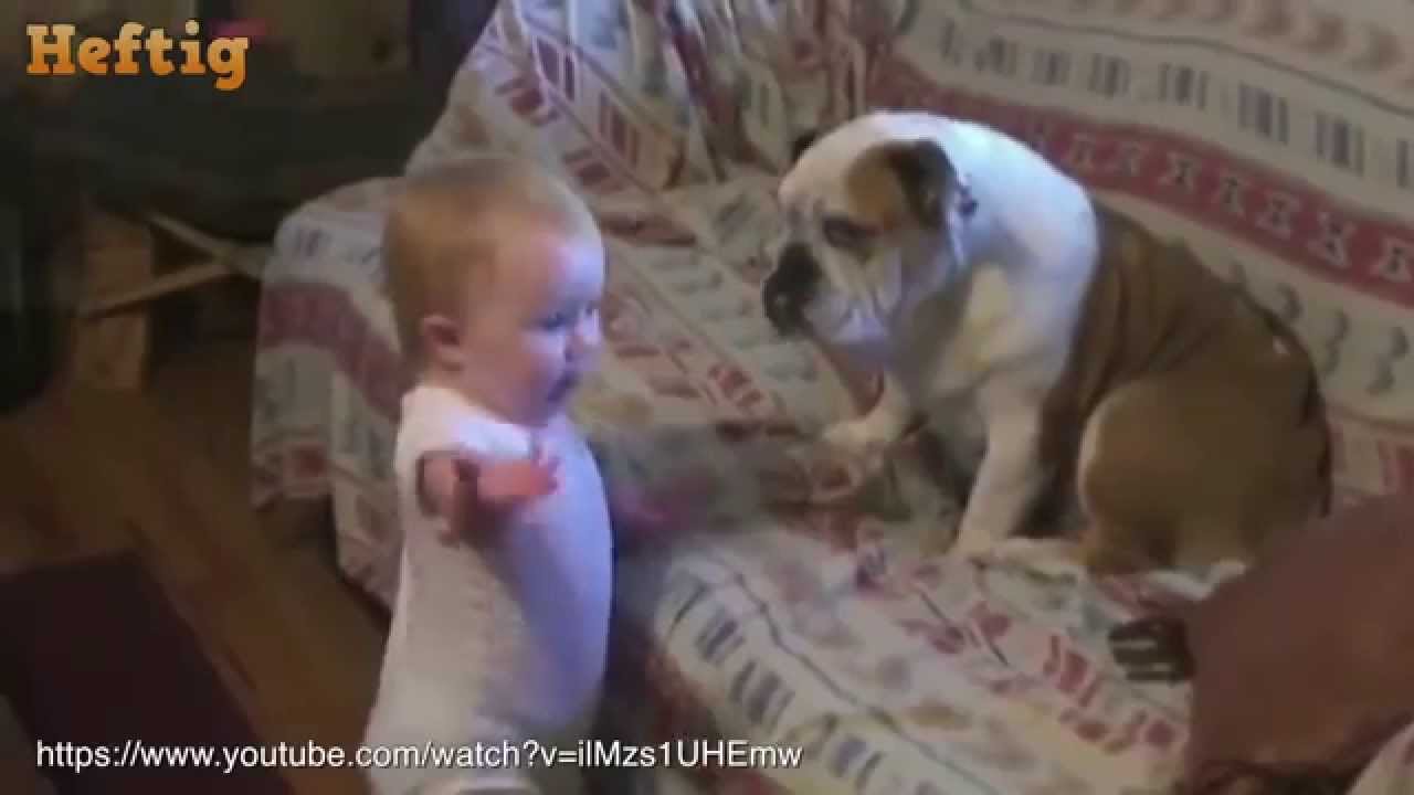 Hunde &  Babies warum jedes Baby ein Hund haben sollte