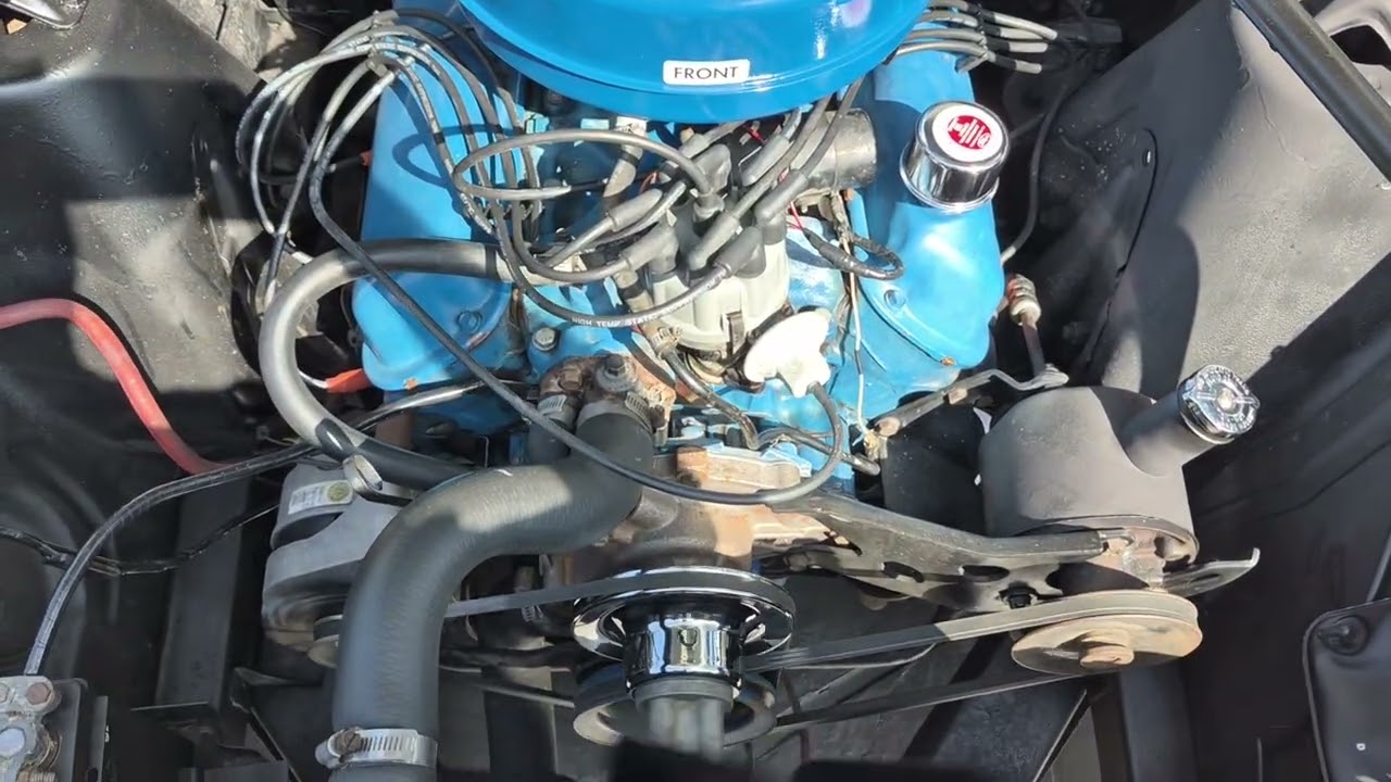 1966 Fairlane 500 Walk Second View