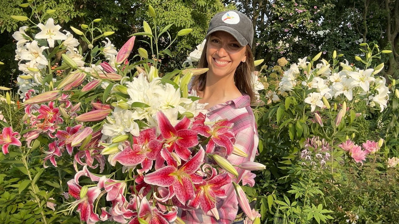 Lilies as Cut Flowers // How to Harvest, Condition, Process, & Store Lilies + Best Lily Varieties!!!