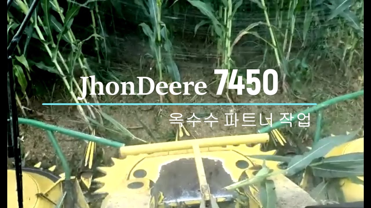 옥수수 수확중~! 존디어 7450, 6190R