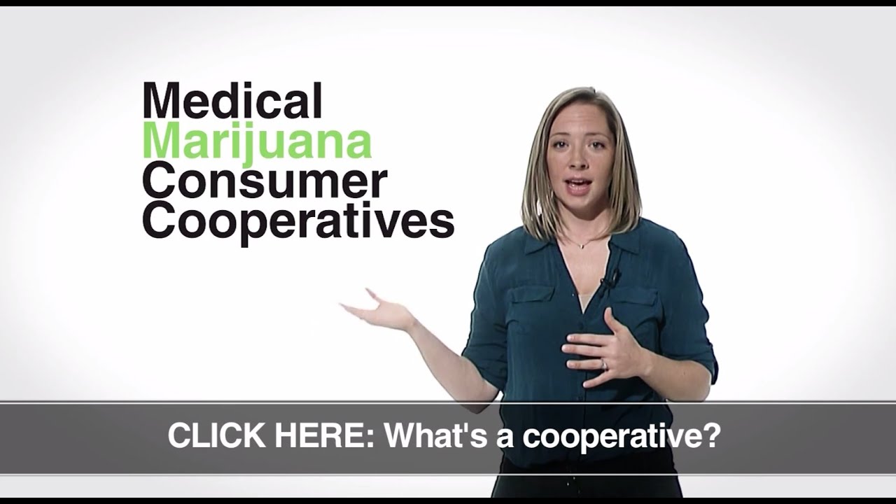 INTERACTIVE VIDEO: A Medical Marijuana Cooperative's Long Road To Becoming Legal