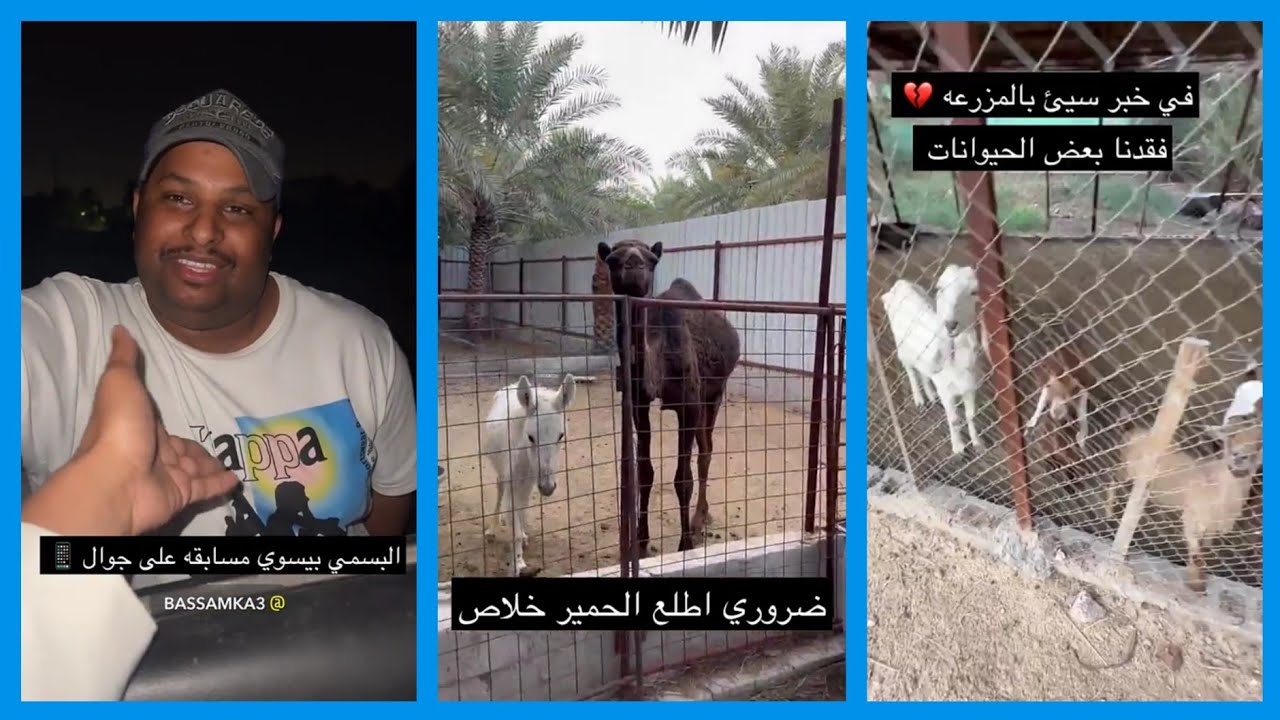عبدالرحيم عنده فعالية مع خويه البسمي + المعزه فتحيه ماتت هي وعيالها والسبب 😑💔\ سناب عبدالرحيم Bingoo