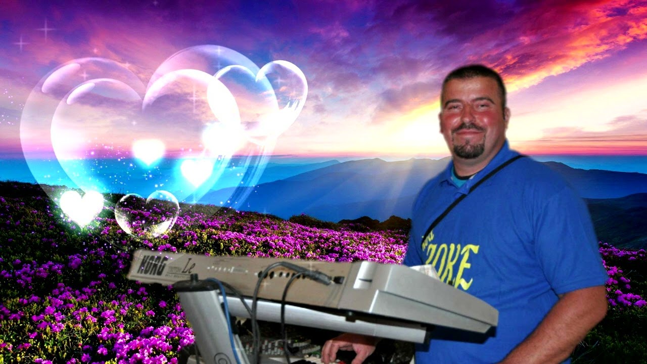 Jasko Becar - Sve sam bitke izdrzao - cover