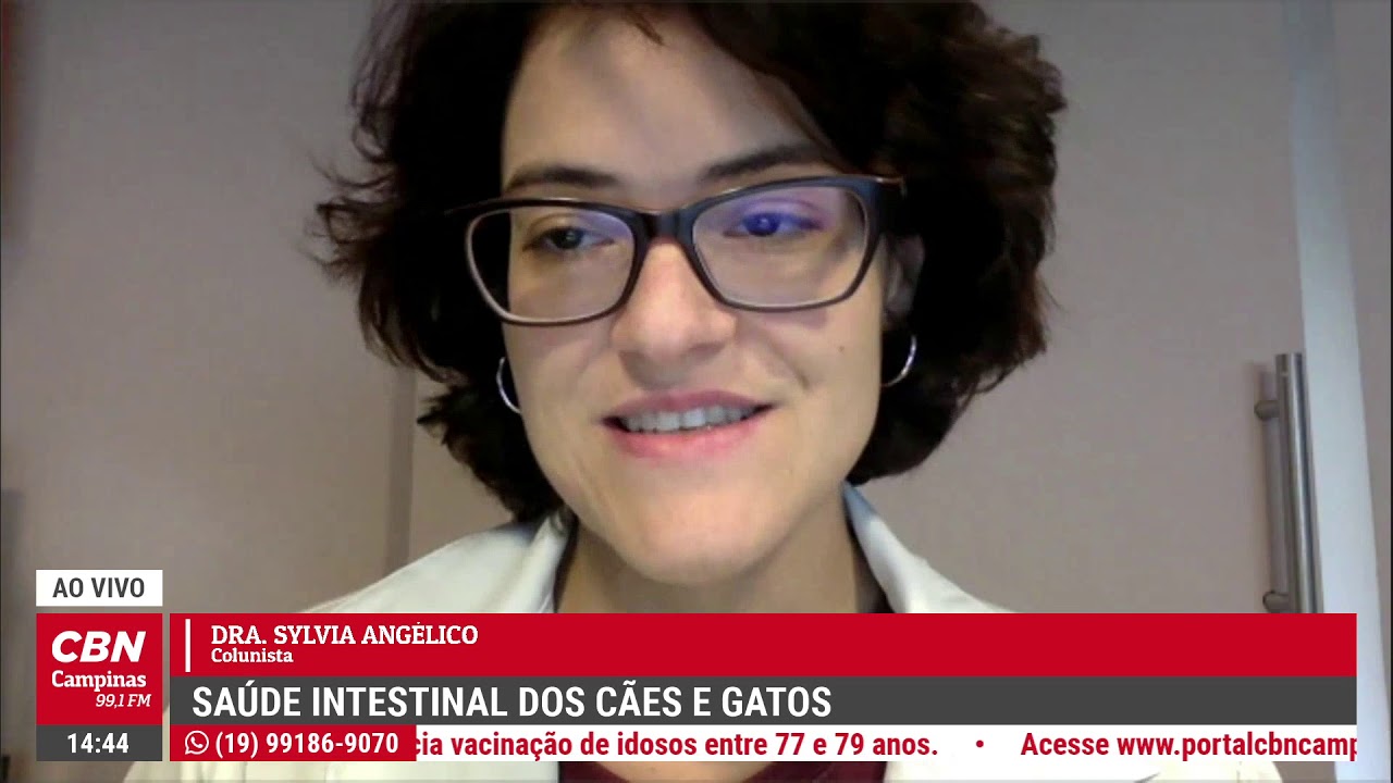 Saúde intestinal dos cães e gatos | Vida Pet com Dra. Sylvia Angélico | Estúdio CBN