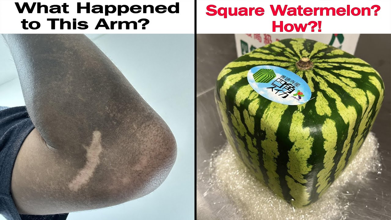 Mildly Interesting Photos #9