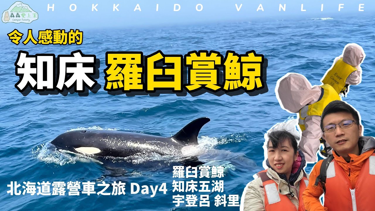 北海道露營車 Day4  虎鯨的原始呼喚!! 令人感動的自然探索賞鯨船之旅!  | 羅臼賞鯨 | 知床五湖 |  宇登呂【森森愛上泥】