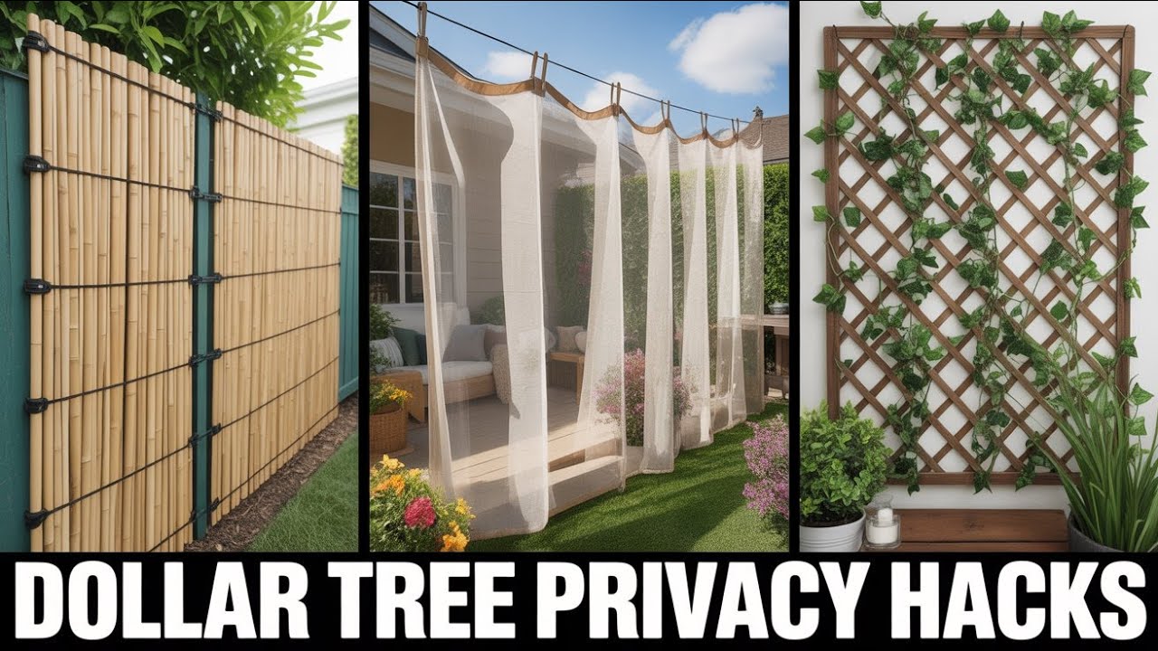Dollar Tree DIY Privacy Screen Hacks That Transformed My Backyard! 🌿 Affordable Privacy Ideas