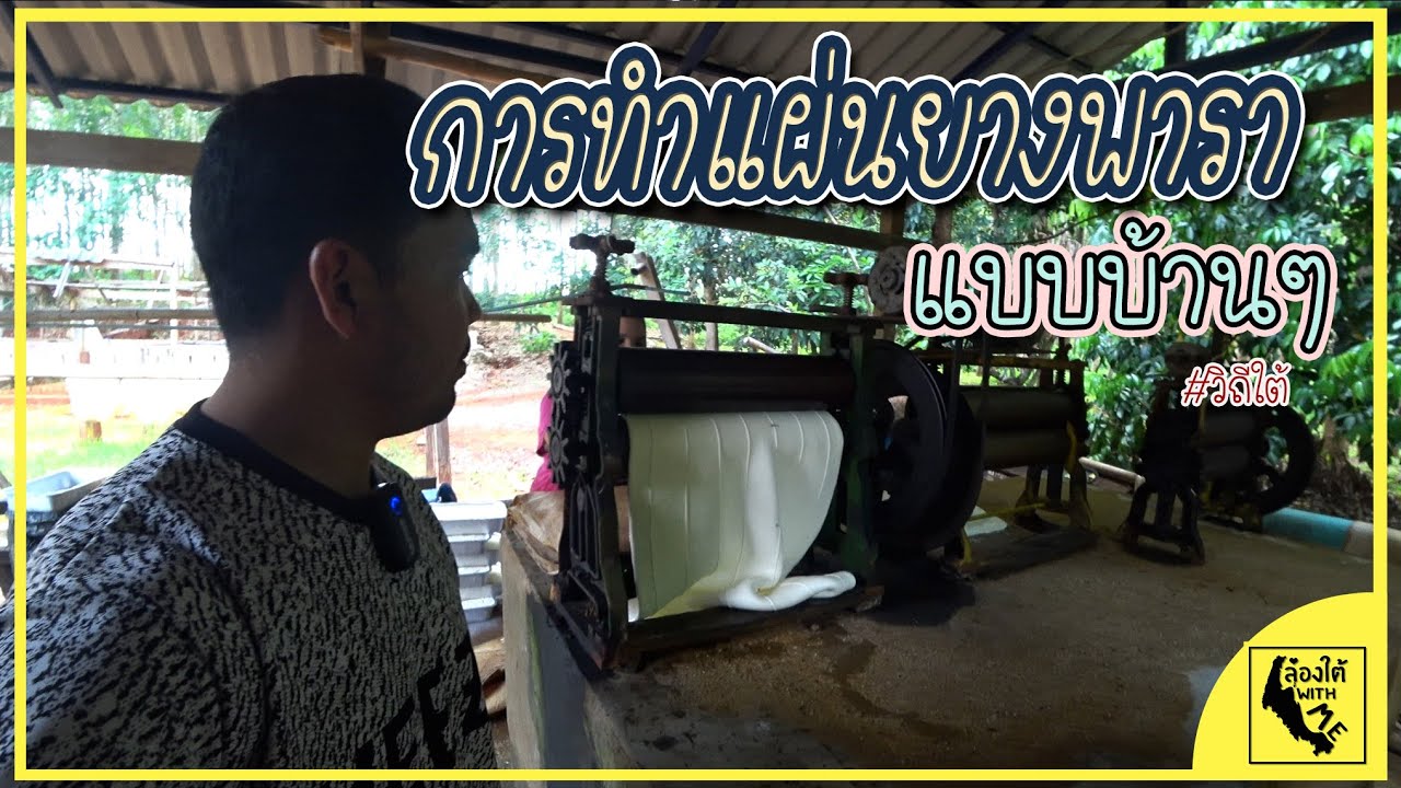 การนำน้ำยางพารามาทำยางแผ่นแบบบ้านๆ | วิถีใต้ EP.4(ย่อย) | ล่องใต้ With Me