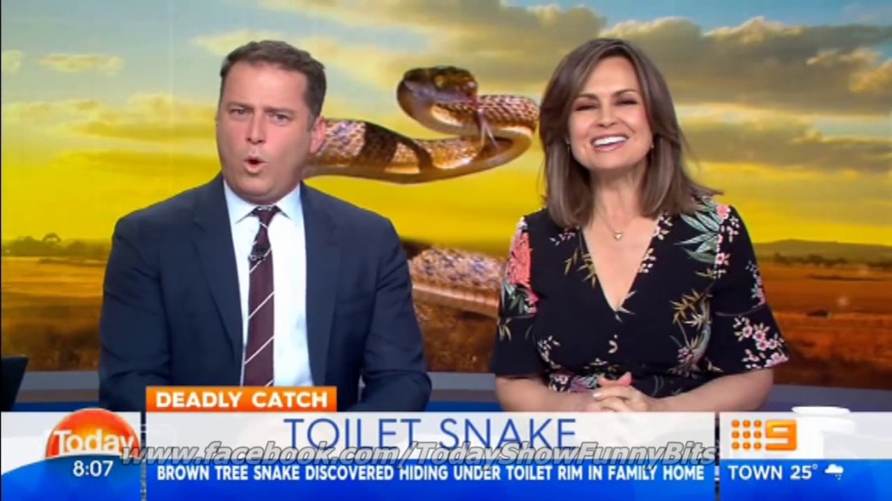 Today Show Funny Bits Part 92. A Mix Bag!