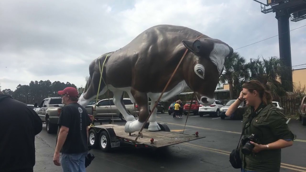 Iconic bull statue returns to Panama City Beach (live Facebook video)