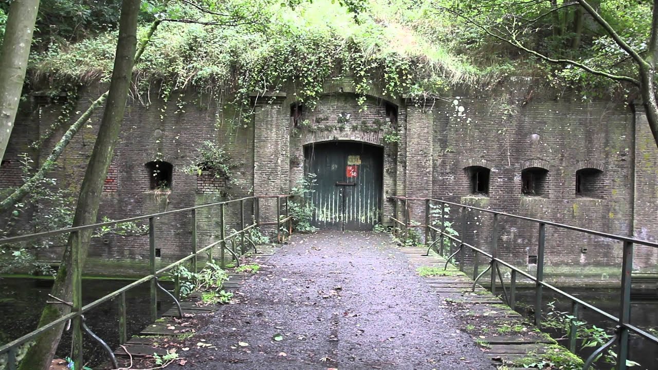 Vleermuizen