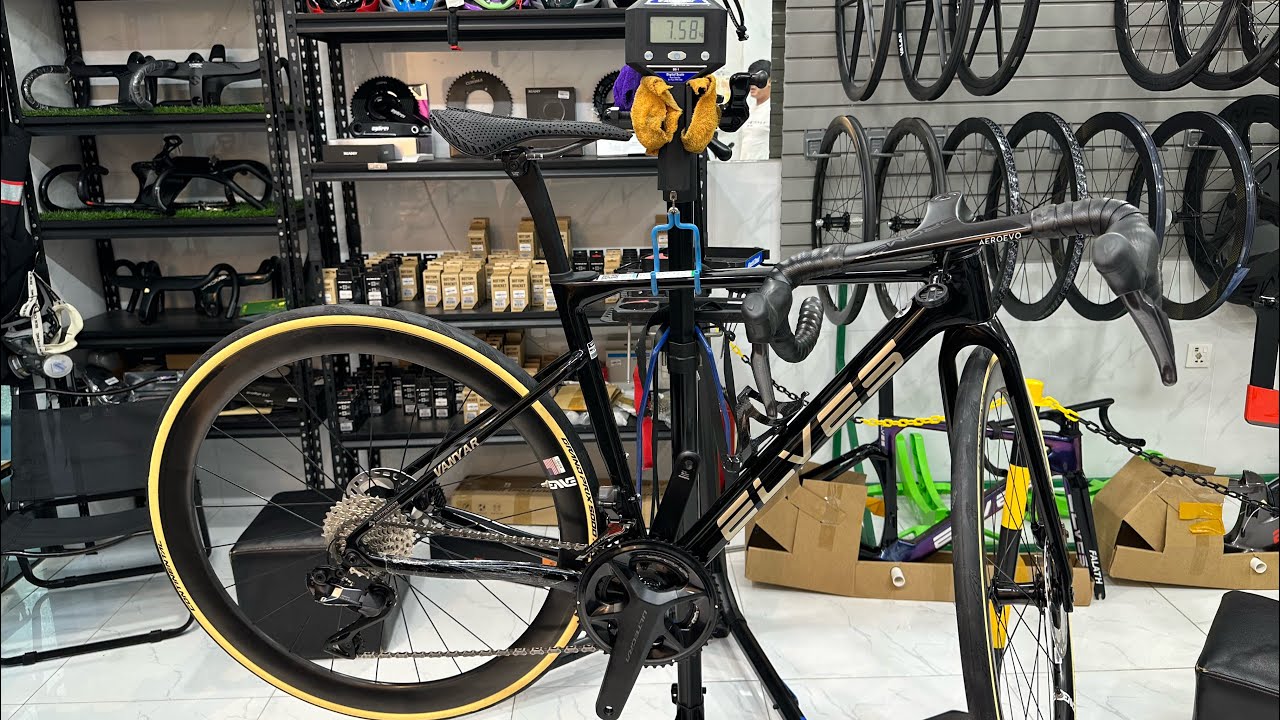 Elves Vanyar - Enve - 8170. Siêu phẩm đẹp độc