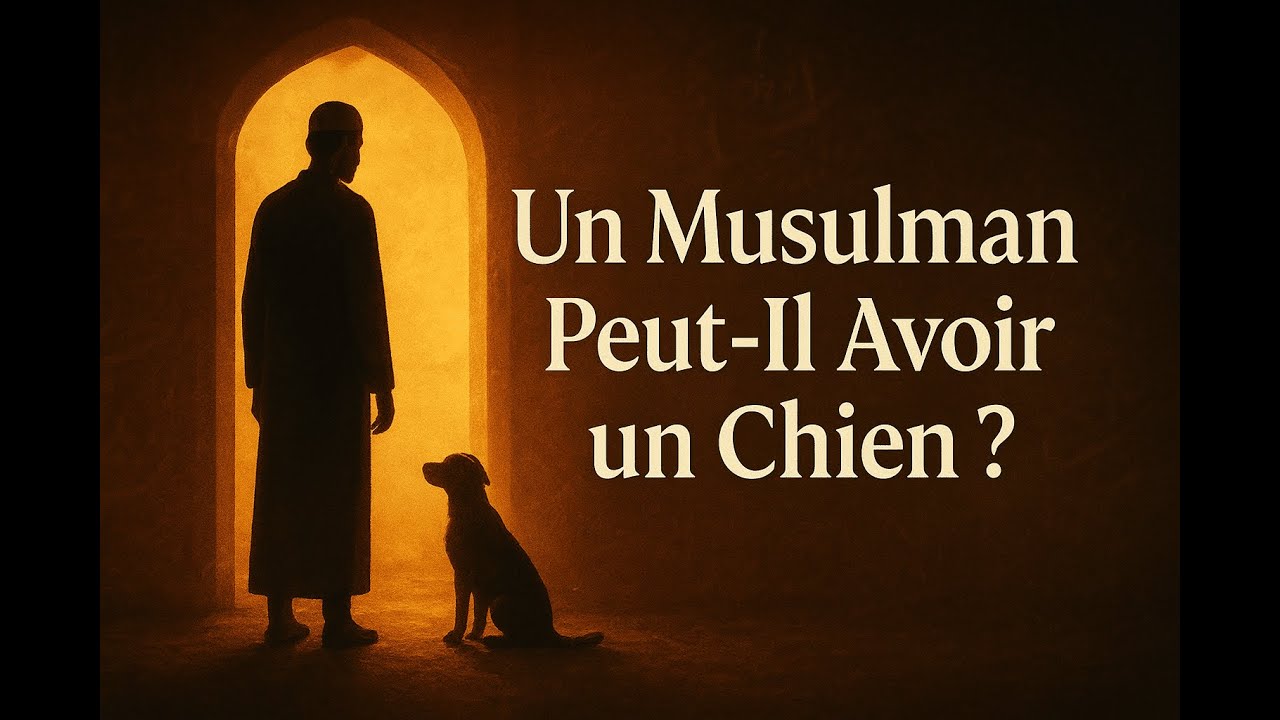 Un Musulman Peut-Il Avoir un Chien ? Voici Ce Que Dit Vraiment l’Islam